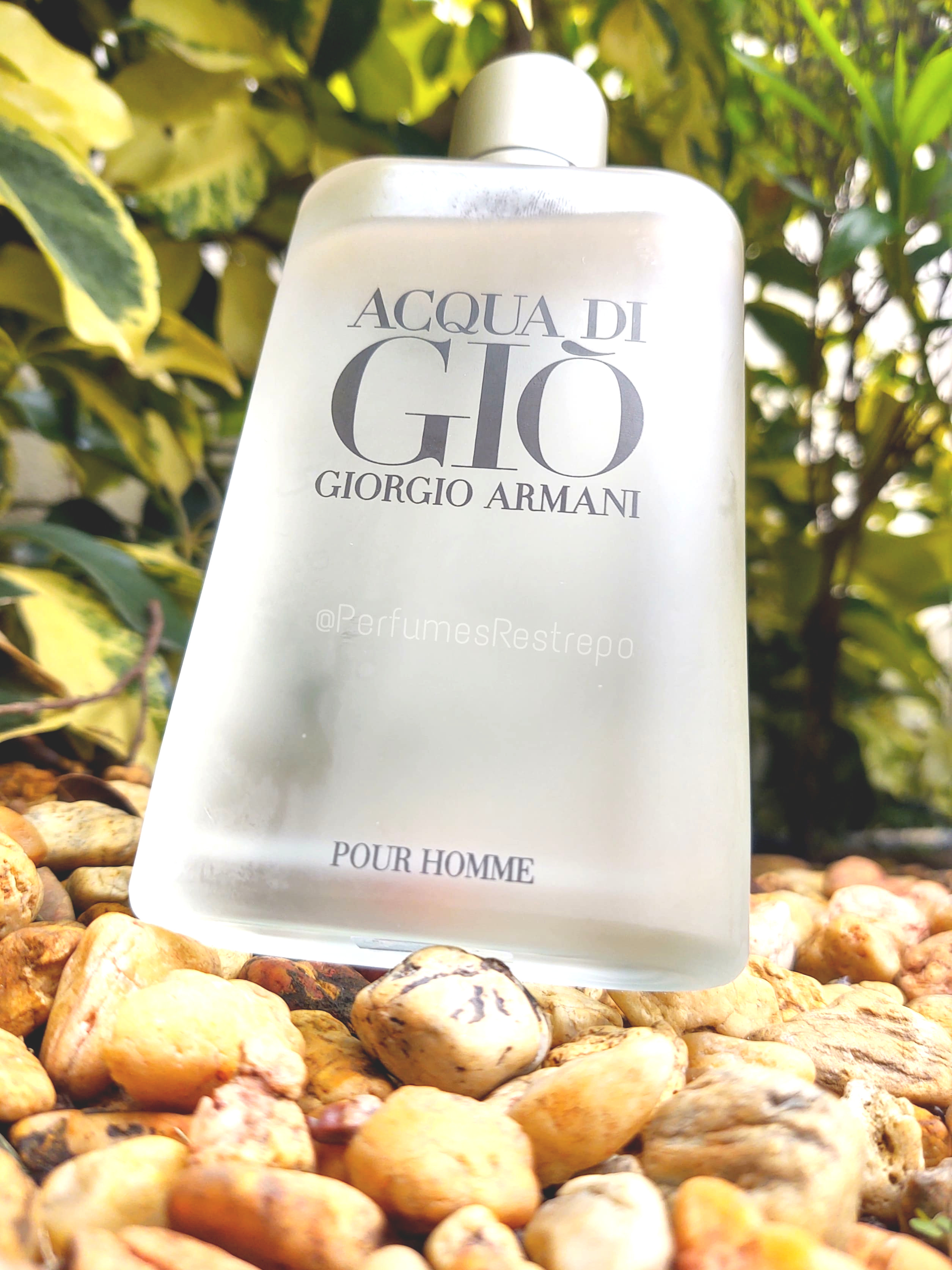 Aqua Gioia